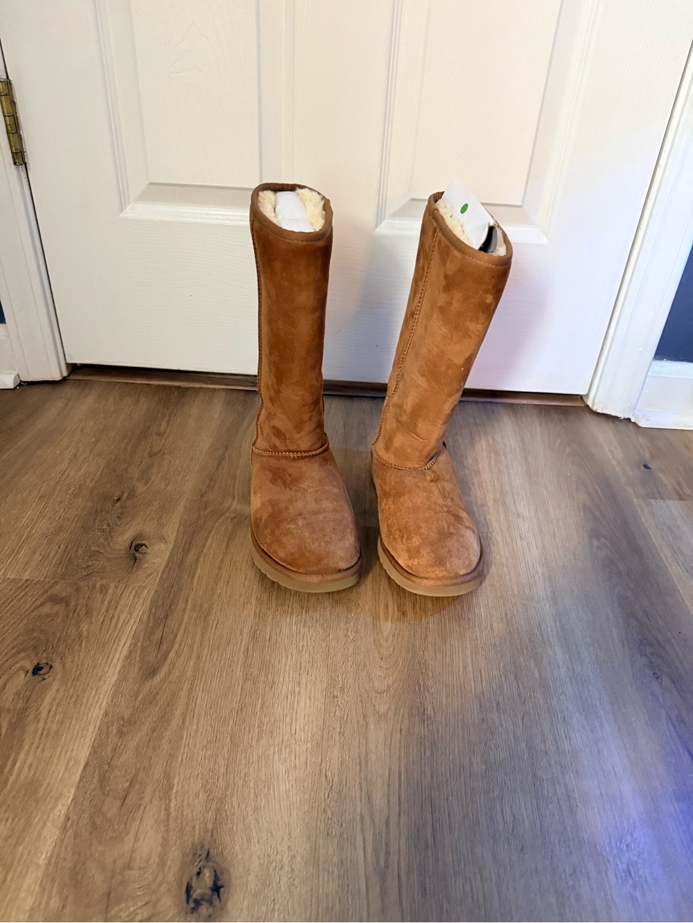 UGG Classic Tall Suede Winter Boots in Chestnut